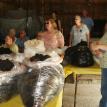 Sheep and Wool Picnic