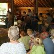 Sheep and Wool Picnic