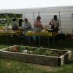 Sheep and Wool Picnic