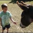 Kevin and Barney